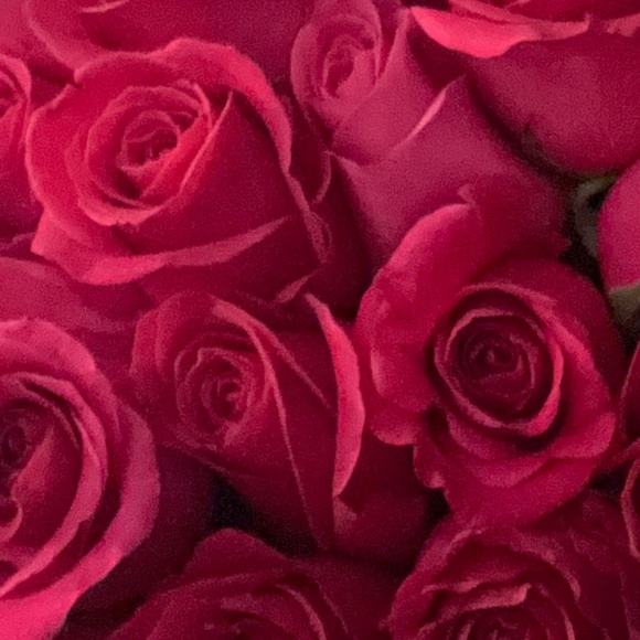 Meet your Posher, Ally - Picture 1 of 1